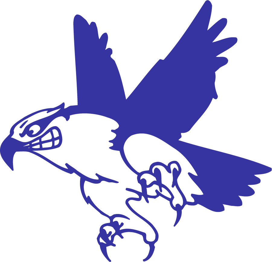 UMass Lowell River Hawks 1997-2006 Secondary Logo DIY iron on transfer (heat transfer)